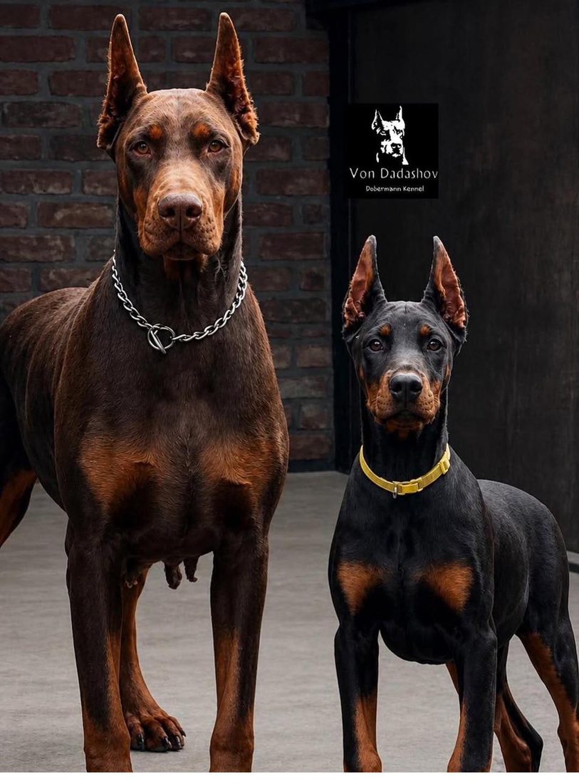 Whiskey with her daughter Lemon